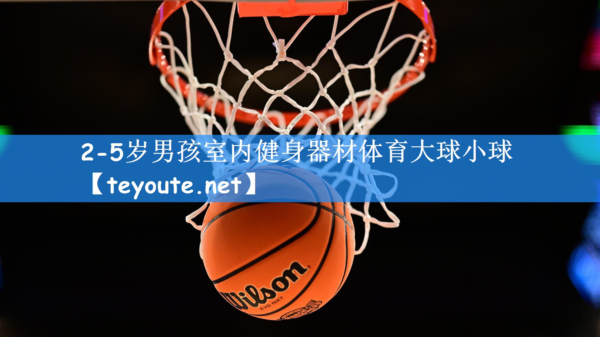 2-5岁男孩室内健身器材体育大球小球