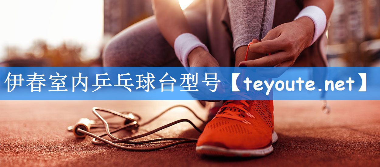 伊春室内乒乓球台型号